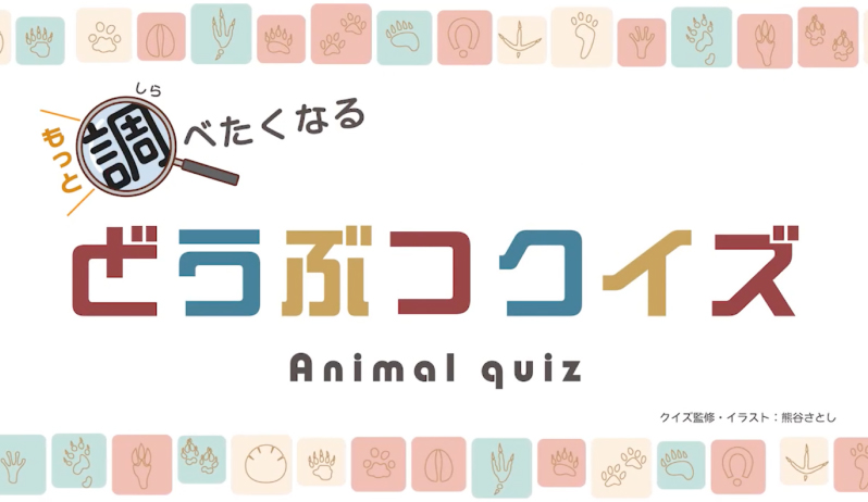 もっと調べたくなる どうぶつクイズ